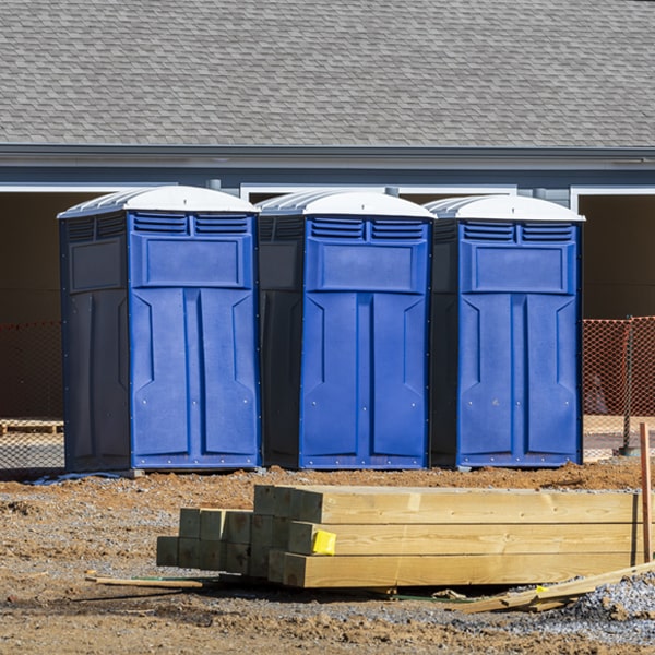 how often are the porta potties cleaned and serviced during a rental period in Hissop